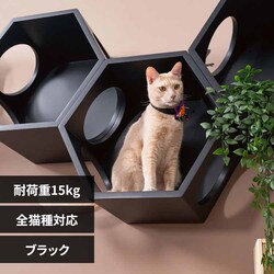 BUSYCAT�Z�p�n�E�X MZ0010 �u���b�N