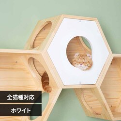 �Z�p�n�E�X�J�o�[ MZ0012 �z���C�g�y�v���U�Z���N�g�z