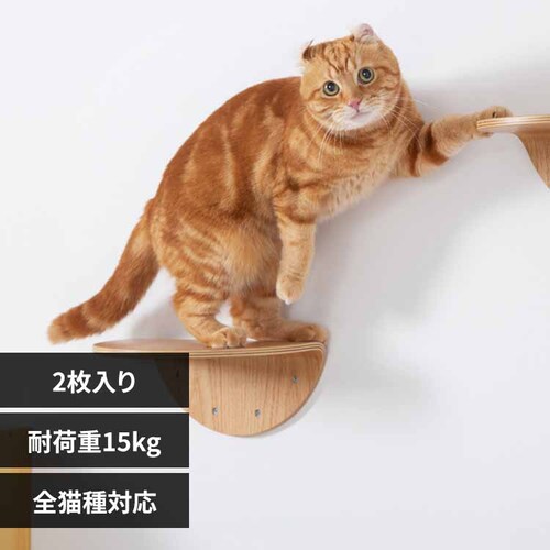 ROUNDLACK MZ0019 �y�v���U�Z���N�g�z_0