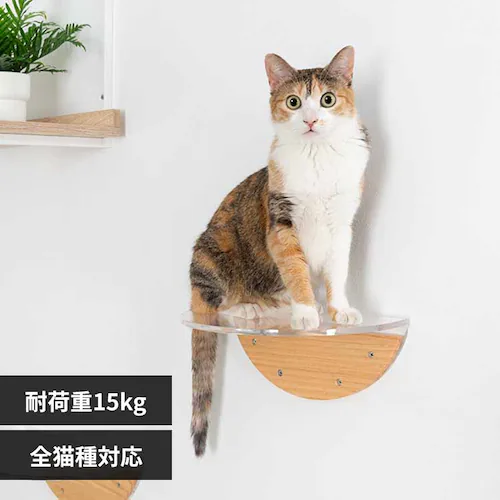 ROUNDLACK CLEAR MZ0020 �y�v���U�Z���N�g�z_0