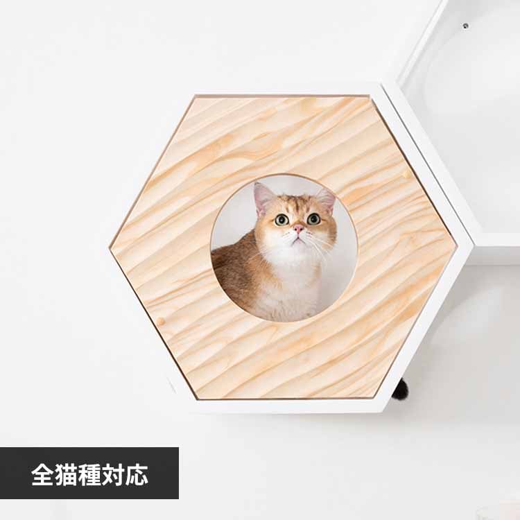 �Z�p�n�E�X�J�o�[(WAVE) MZ0021 �y�v���U�Z���N�g�z