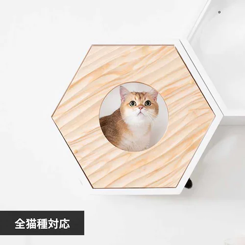 �Z�p�n�E�X�J�o�[(WAVE) MZ0021 �y�v���U�Z���N�g�z_0