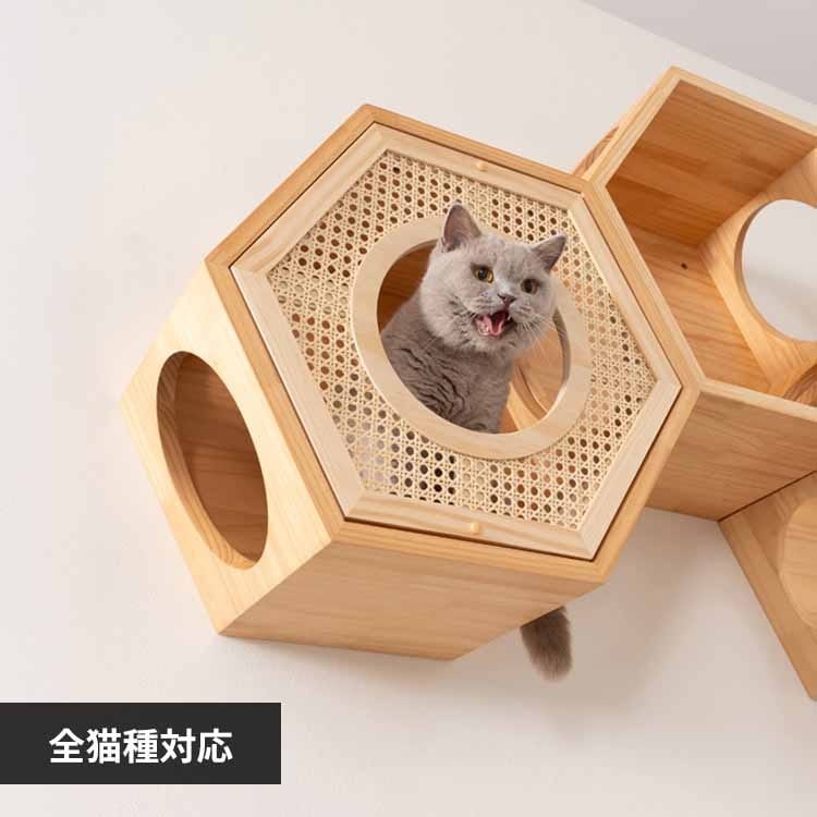 �Z�p�n�E�X�J�o�[(RATTAN) MZ0022 �y�v���U�Z���N�g�z