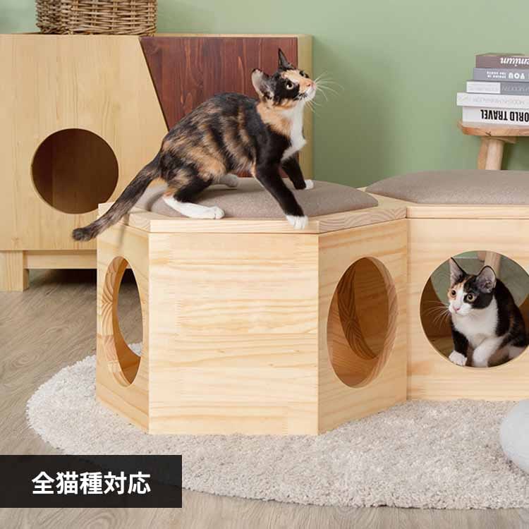 �Z�p�n�E�X�`�F�A�v���[�g MZ0023 �y�v���U�Z���N�g�z