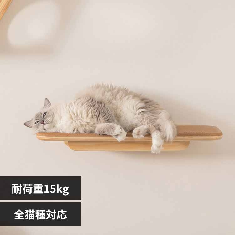 MZ0026 MZ0026 �y�v���U�Z���N�g�z