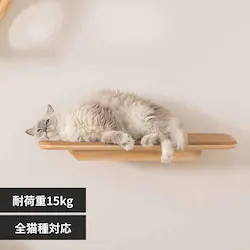 MZ0026 MZ0026 �y�v���U�Z���N�g�z