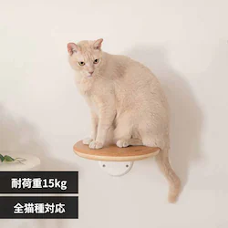 CORK�]R MZ0027 �y�v���U�Z���N�g�z