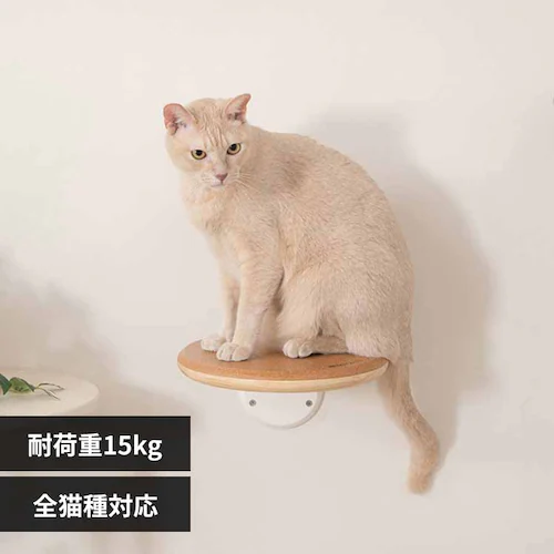 CORK�]R MZ0027 �y�v���U�Z���N�g�z_0