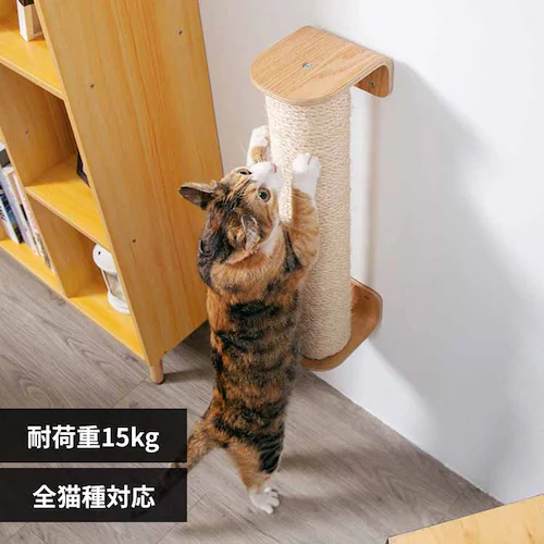 CYLINDER II MZ0028 �y�v���U�Z���N�g�z_0