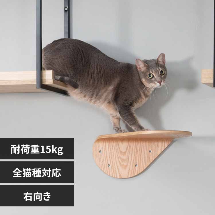 LACKTILT MZ0033 �E�����y�v���U�Z���N�g�z