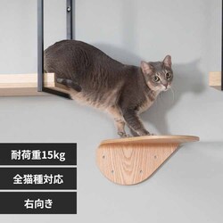 LACKTILT MZ0033 �E�����y�v���U�Z���N�g�z