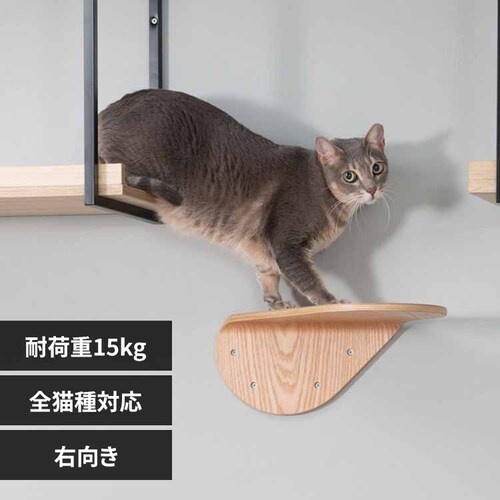 LACKTILT MZ0033 �E�����y�v���U�Z���N�g�z_0