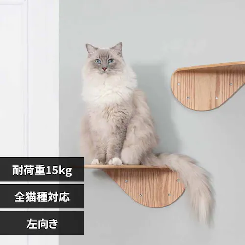 LACKTILT MZ0034 左向き_0