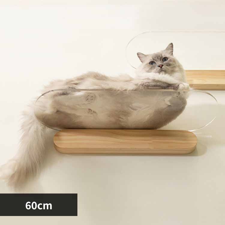 OBLONG/M60cm MZ0037 �y�v���U�Z���N�g�z