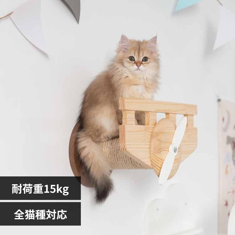 PLANE MZ0038 �y�v���U�Z���N�g�z