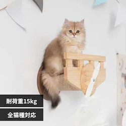 PLANE MZ0038 �y�v���U�Z���N�g�z