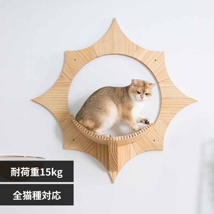 SOLAR MZ0043 �y�v���U�Z���N�g�z