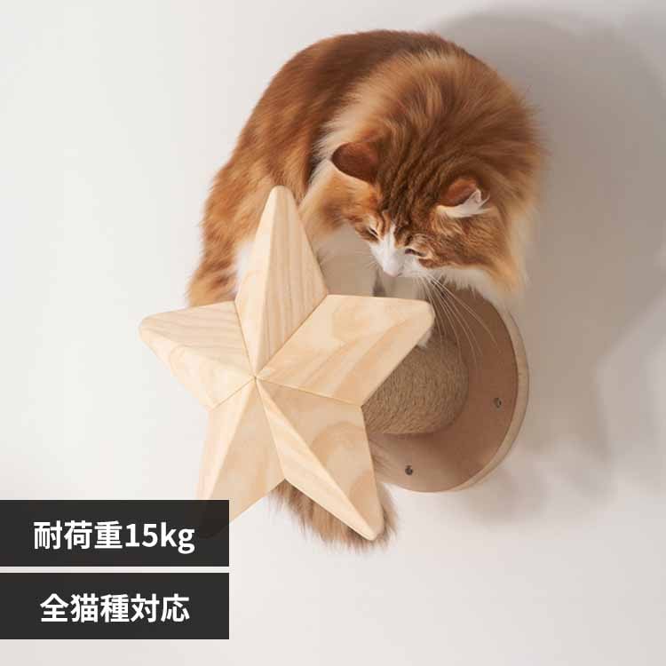 TWINKLESTAR MZ0044 �y�v���U�Z���N�g�z