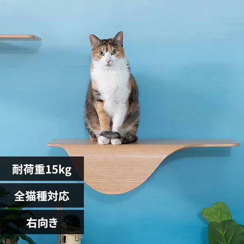 STINGRAY MZ0046 �E����_0