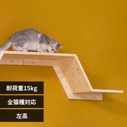 ZONE MZ0049 �����y�v���U�Z���N�g�z