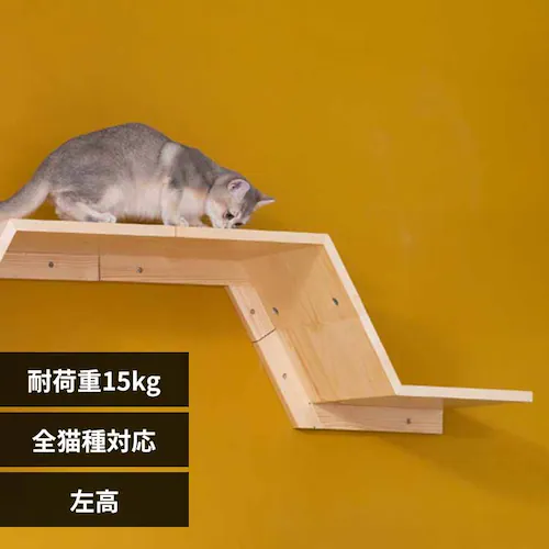 ZONE MZ0049 �����y�v���U�Z���N�g�z_0