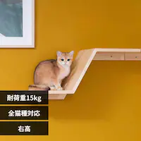 ZONE MZ0050 �E��