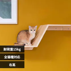 ZONE MZ0050 �E���y�v���U�Z���N�g�z