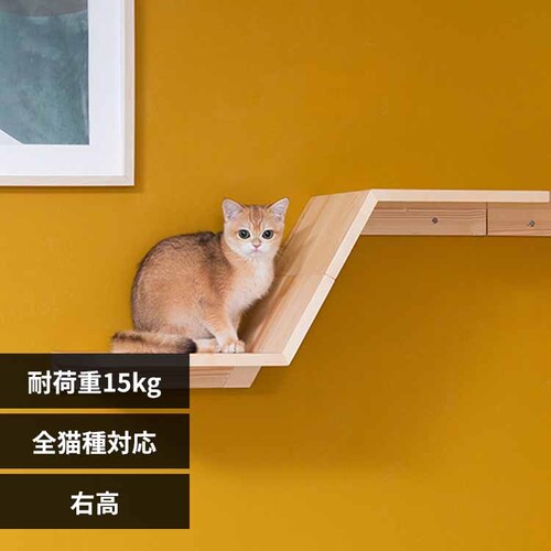 ZONE MZ0050 �E���y�v���U�Z���N�g�z_0