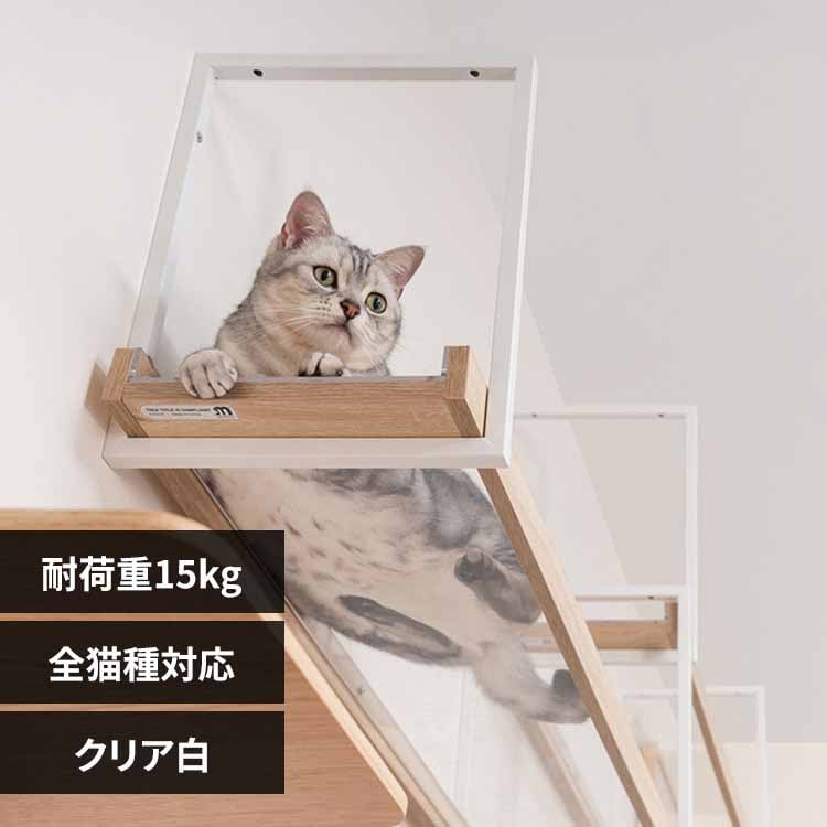 AVENUE MZ0052 �N���A���y�v���U�Z���N�g�z