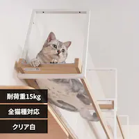 AVENUE MZ0052 �N���A��