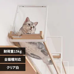 AVENUE MZ0052 �N���A���y�v���U�Z���N�g�z