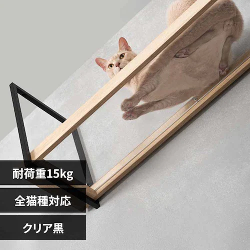 AVENUE MZ0053 �N���A���y�v���U�Z���N�g�z_0