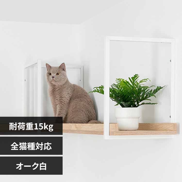 AVENUE MZ0054 100cm�^�I�[�N���y�v���U�Z���N�g�z