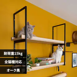 AVENUE MZ0055 100cm�^�I�[�N���y�v���U�Z���N�g�z