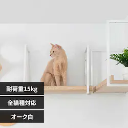 AVENUE MZ0056 60cm�^�I�[�N���y�v���U�Z���N�g�z