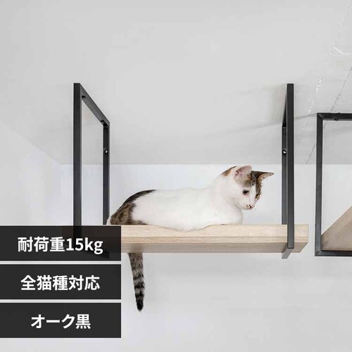 AVENUE MZ0057 60cm�^�I�[�N��_0