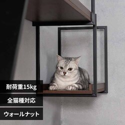 AVENUE MZ0058 60cm�^�E�H�[���i�b�g