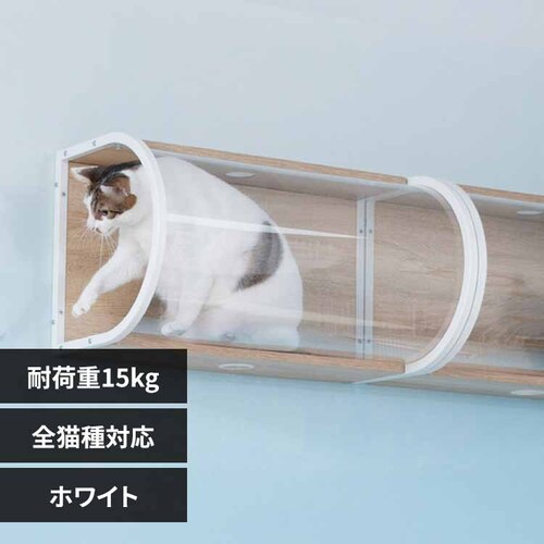 TUNNEL MZ0067 �z���C�g�y�v���U�Z���N�g�z_0