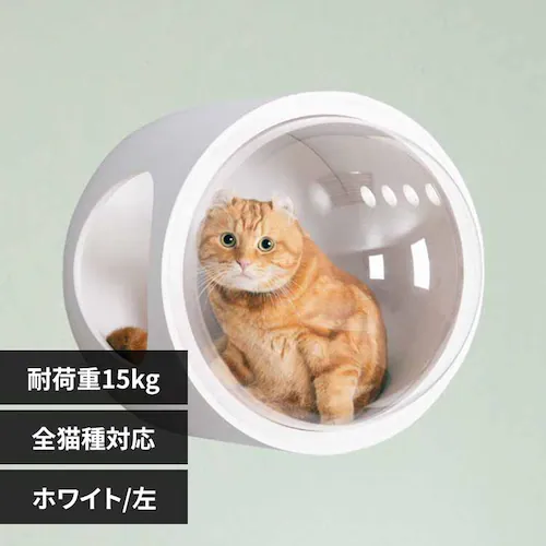 �F���DGAMMA MZ0073 �z���C�g�^���J���y�v���U�Z���N�g�z_0