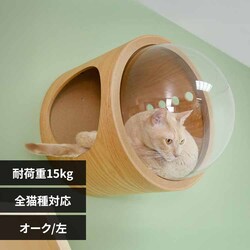 �F���DGAMMA MZ0075 �I�[�N�^���J��