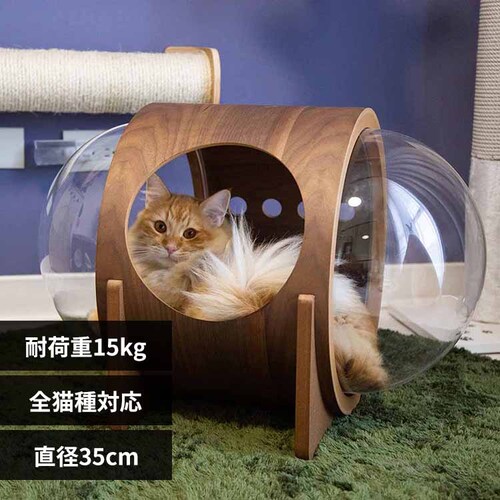 �F���DALPHA(�E�H�[���i�b�g) MZ0079 �y�v���U�Z���N�g�z_0