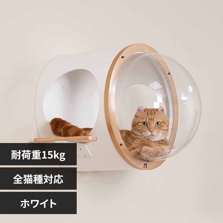 ������OCEANROVER MZ0082 �u���b�N�y�v���U�Z���N�g�z