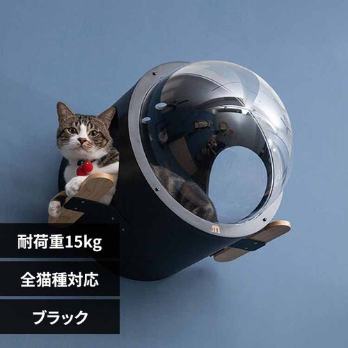 ������OCEANROVER MZ0082 �u���b�N�y�v���U�Z���N�g�z_0