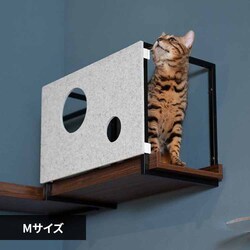 AVENUECOVER/M MZ0099 �y�v���U�Z���N�g�z