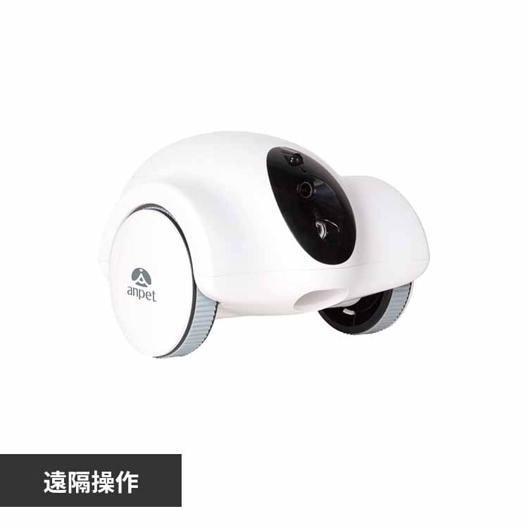 AT[ ɂ񌩎 ANP-W001 yvUZNgz