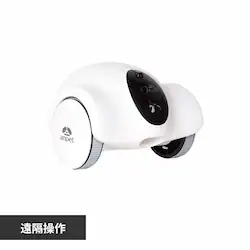 AT[ ɂ񌩎 ANP-W001 yvUZNgz