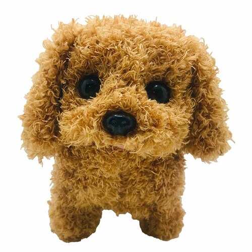 �g�R�g�R��������� �g�C�v�[�y�v���U�Z���N�g�z_0