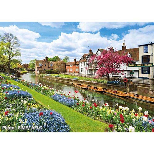 �A�b�v������ 500�s�[�X �J���^�x���[�̎U���� 500-282 �y�v���U�Z���N�g�z_0