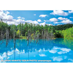 �A�b�v������ 500�s�[�X ���l�����̐��r 500-263 �y�v���U�Z���N�g�z