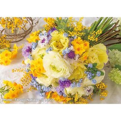 �A�b�v������ 500�s�[�X �K���̃`�A�t���u�[�P 500-313 �y�v���U�Z���N�g�z